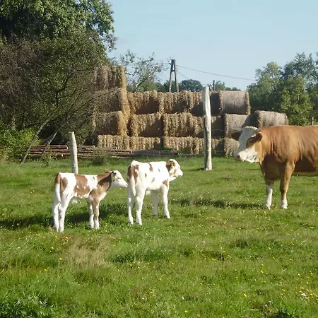Agroturystyka ,,z Pastwiska Na Talerz
