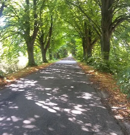 Agroturystyka ,,z Pastwiska Na Talerz