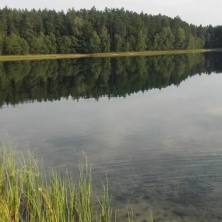 Agroturystyka ,,z Pastwiska Na Talerz