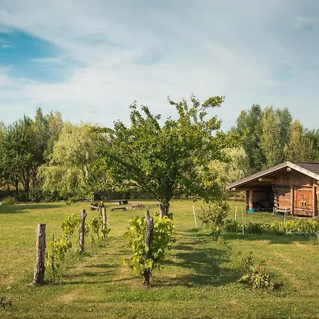 Agroturystyka ,,z Pastwiska Na Talerz