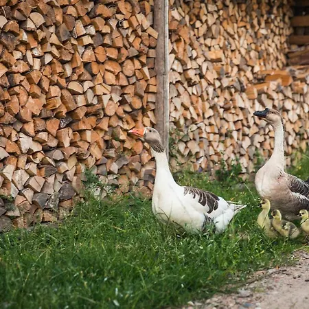 팜스테이 Agroturystyka ,,z Pastwiska Na Talerz