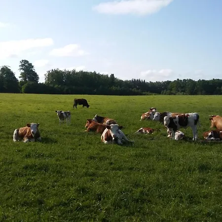 Agroturystyka ,,z Pastwiska Na Talerz